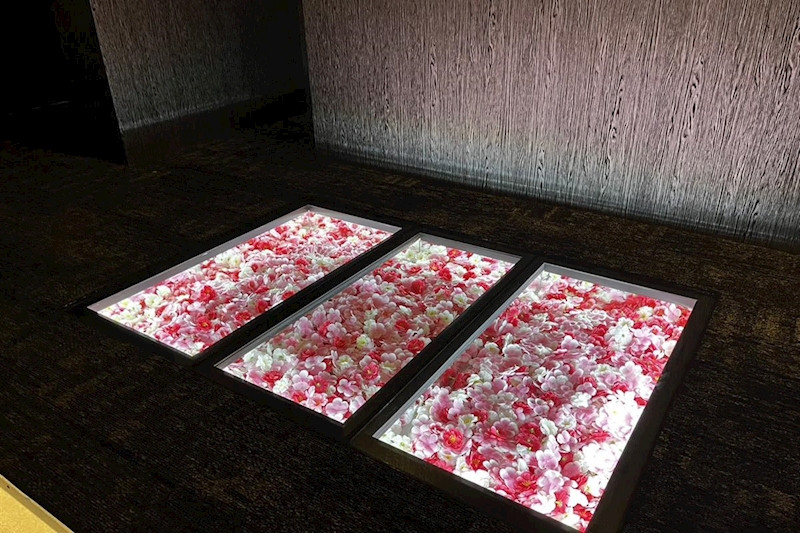 Gracieux/金沢片町画像147531