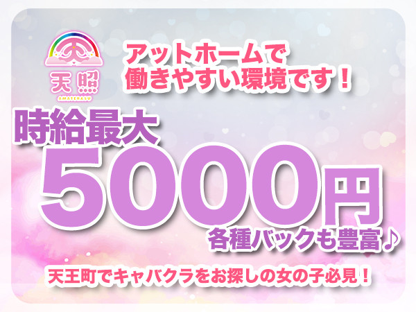 天照/天王町駅付近画像173215