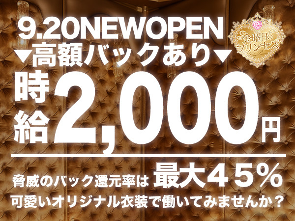 金曜日のプリンセス/歌舞伎町画像171678