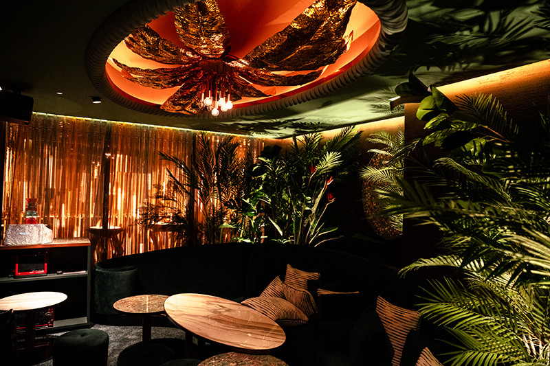 UNJOUR TOKYO/六本木画像171814