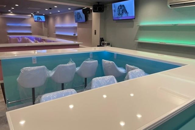 くろ×スト～黒猫とシンデレラストーリー～/池袋駅（東口）画像177997