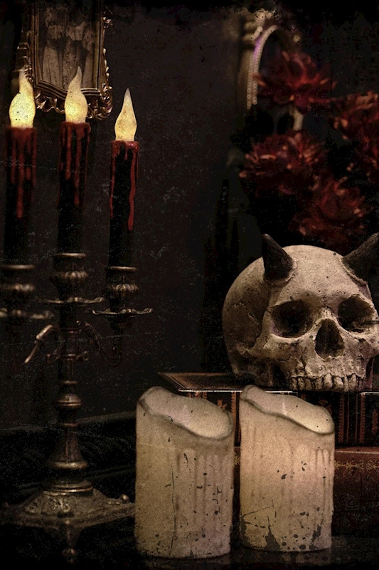 Follebit/歌舞伎町画像171835