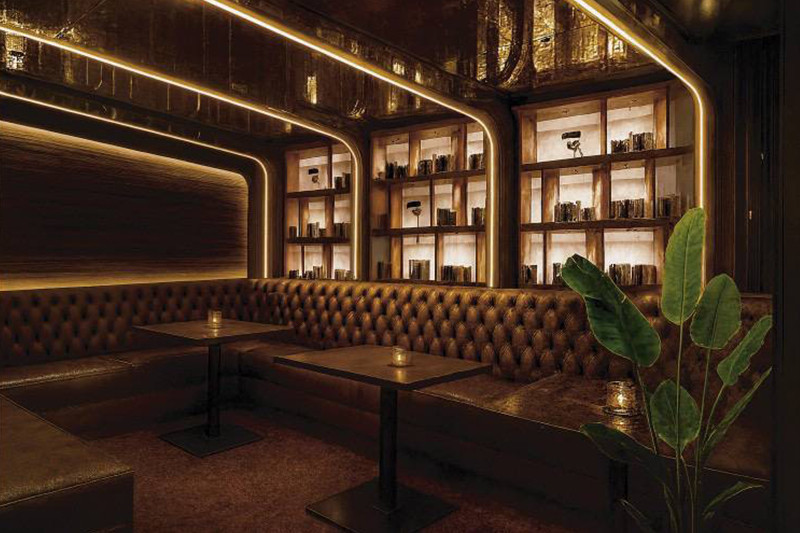 ZAURUS/北新地画像175017