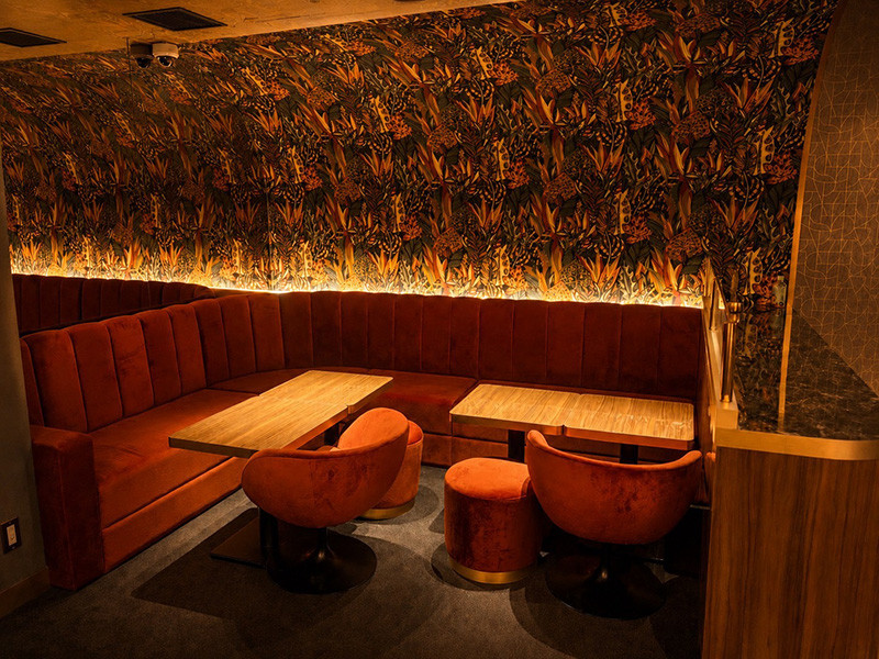 VIVIA LOUNGE/上野画像183072