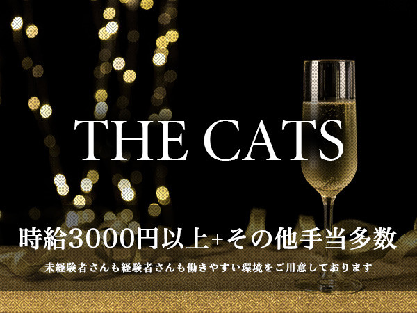 THE CATS/下通画像113027