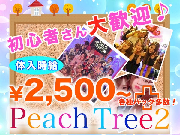 Peach Tree2 熊本松橋店/松橋町画像82767