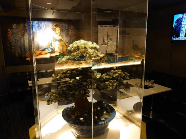 Club Calnet/新潟駅前画像177963