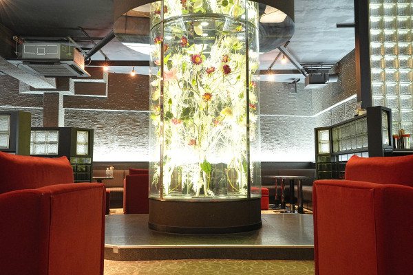 船橋 VELLUGUE/船橋画像171668