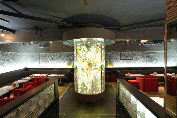 船橋 VELLUGUE/船橋画像171670