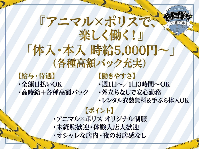 あにぽり本店/池袋駅（西口）画像178686