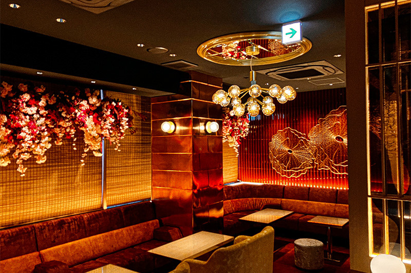 美人茶屋新橋/新橋画像165119