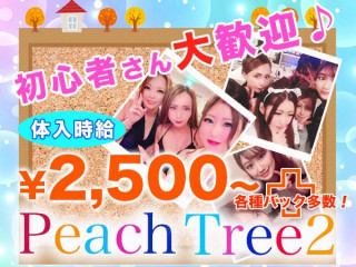 Peach Tree2 熊本植木店/植木町画像82730