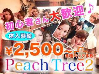 Peach Tree2 熊本大津店/大津町画像82758